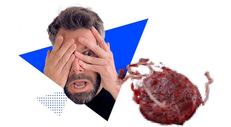 Boris devant un placenta